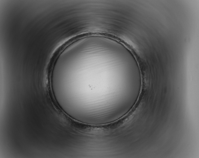 X0000096721070200802191524