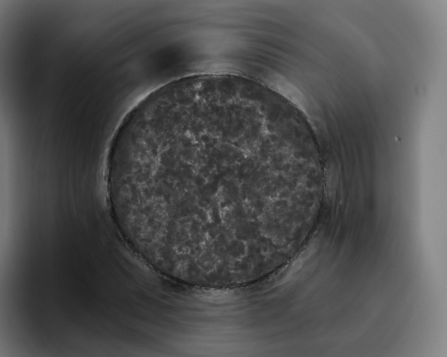 X0000096721071200802191524