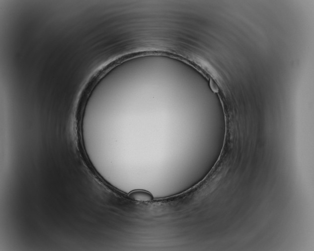 X0000096721072200802191524