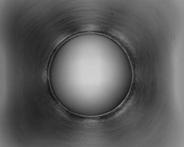 X0000096721073200802191524