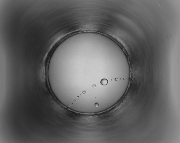 X0000096721075200802191523