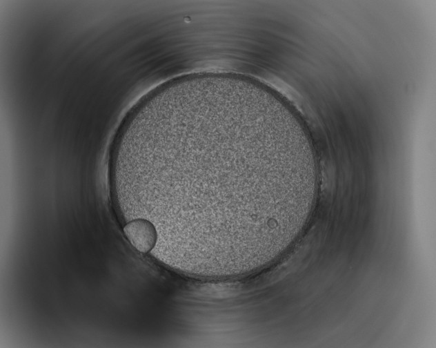 X0000096721078200802191523