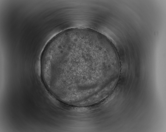 X0000096721079200802191523