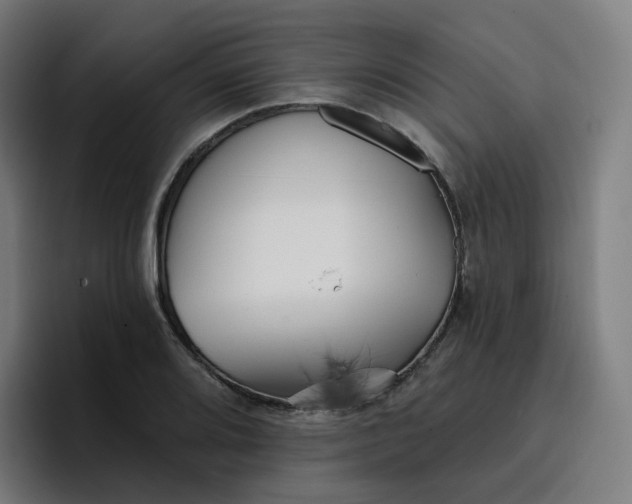 X0000096721080200802191523