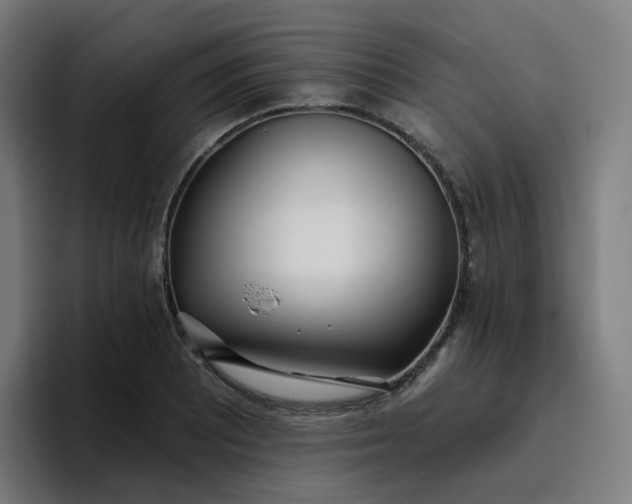 X0000096721081200802191523