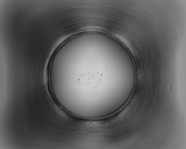 X0000096721082200802191523