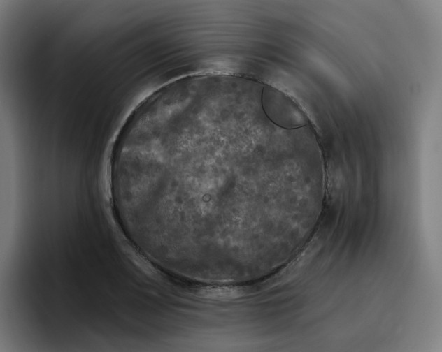 X0000096721083200802191523