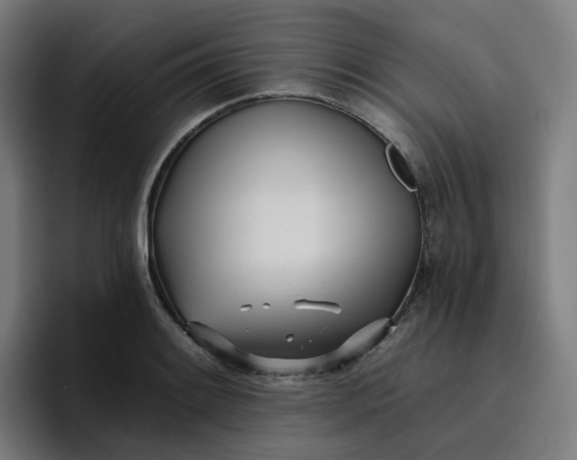 X0000096721084200802191523