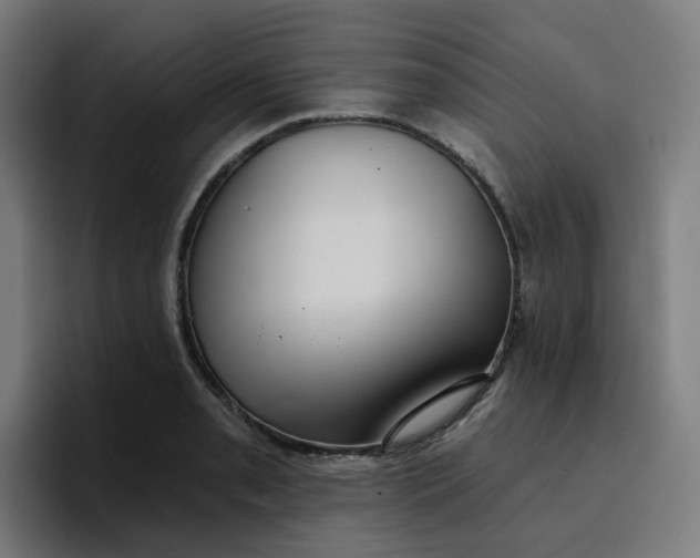 X0000096721085200802191523