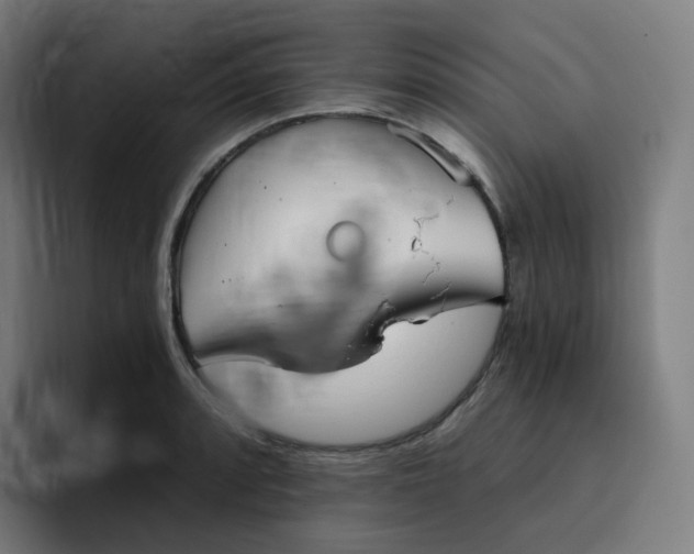 X0000096721088200802191523