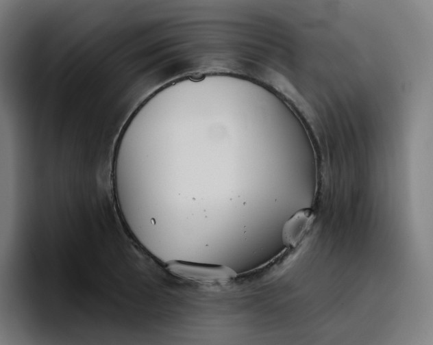 X0000096721089200802191523