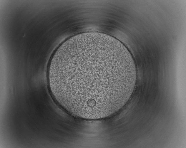 X0000096721090200802191523