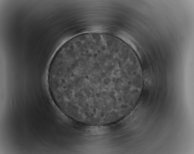 X0000096721091200802191523