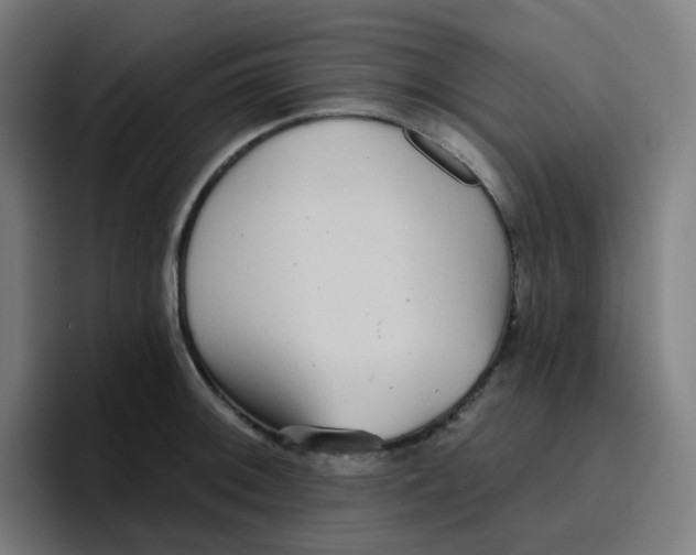 X0000096721092200802191523