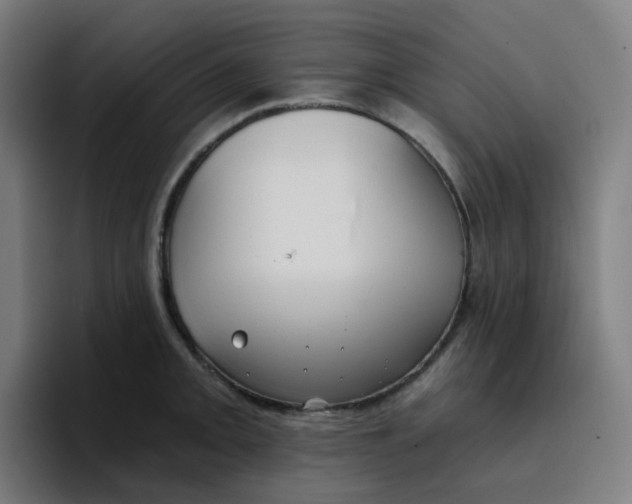 X0000096721093200802191523