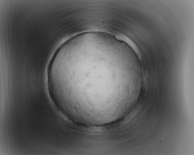 X0000096721096200802191523