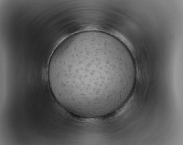 X0000096721097200802191523