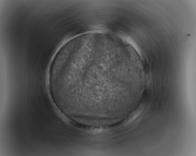 X0000096721099200802191523