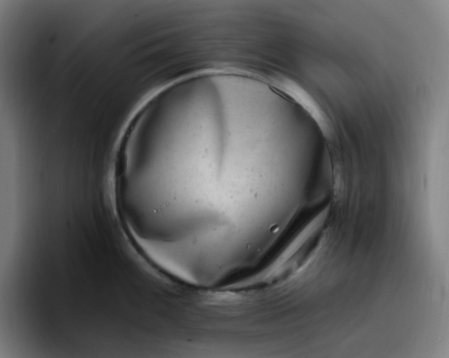 X0000096721100200802191523