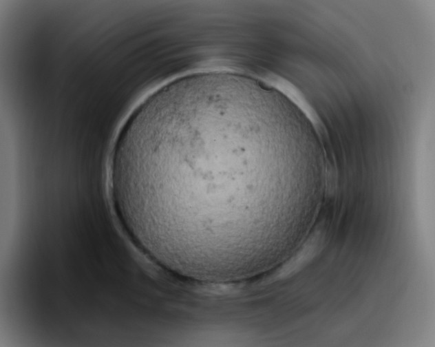 X0000096721101200802191523