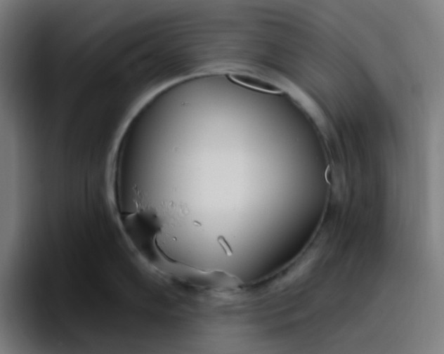 X0000096721102200802191523