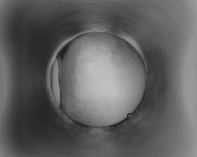 X0000096721104200802191523