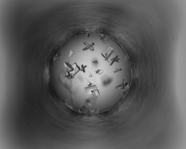 X0000096721106200802191523