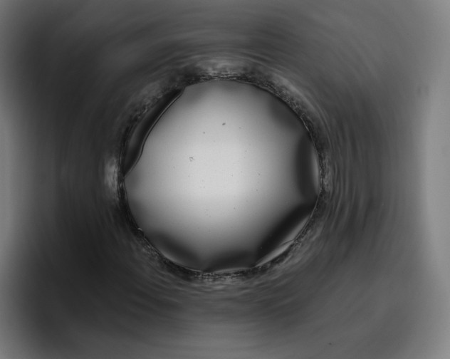 X0000096721108200802191523