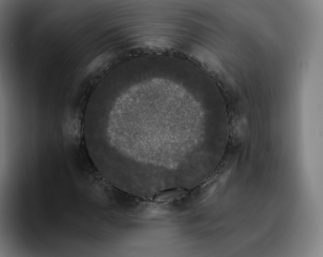 X0000096721110200802191523