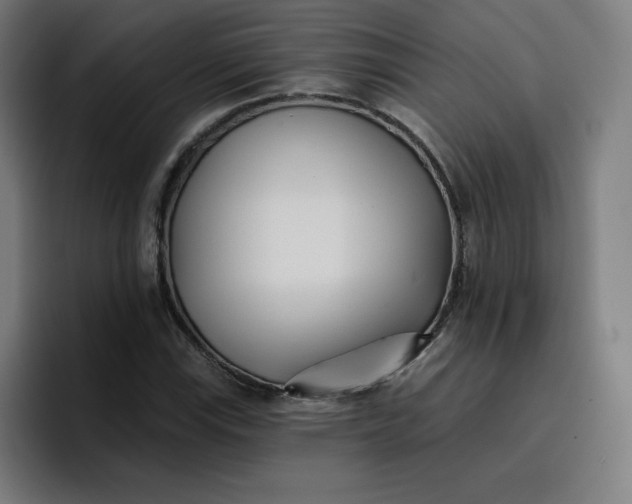 X0000096721115200802191523