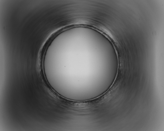 X0000096721116200802191523