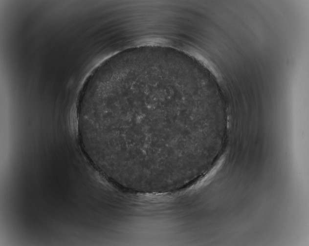 X0000096721117200802191523