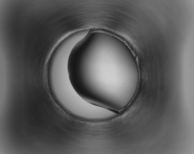 X0000096721118200802191523