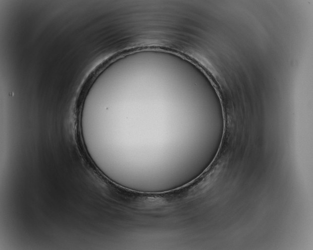 X0000096721119200802191523