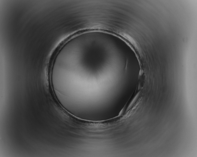 X0000096721120200802191523