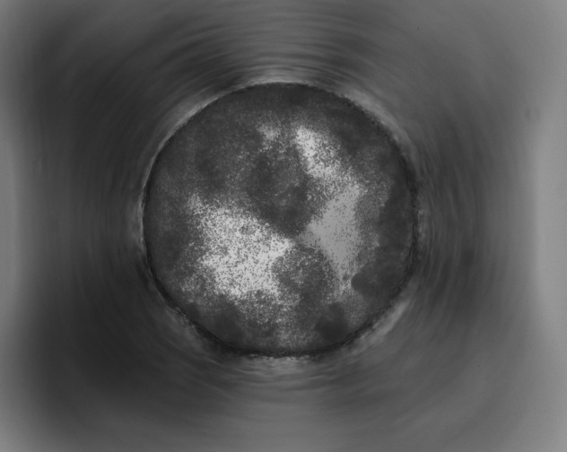 X0000096721121200802191523