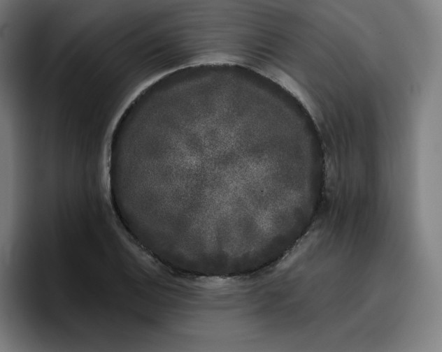 X0000096721124200802191523