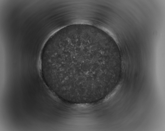 X0000096721125200802191523