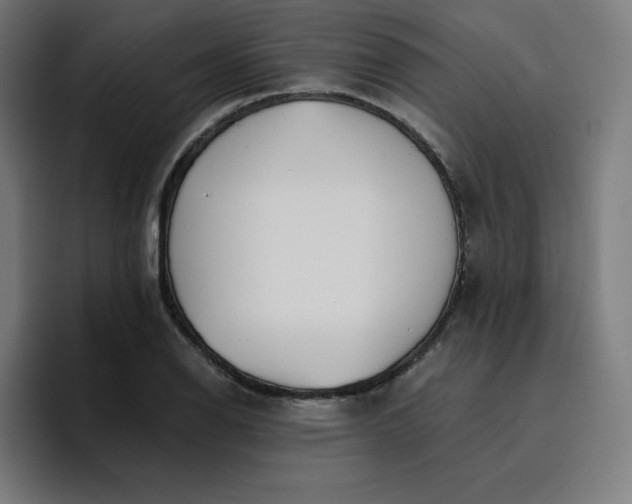 X0000096721126200802191523