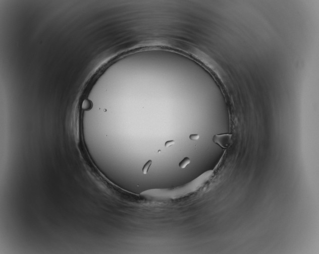 X0000096721127200802191523