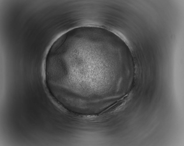 X0000096721128200802191523