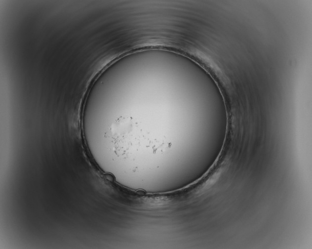 X0000096721129200802191523