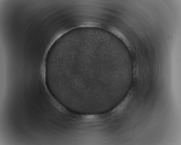 X0000096721130200802191523