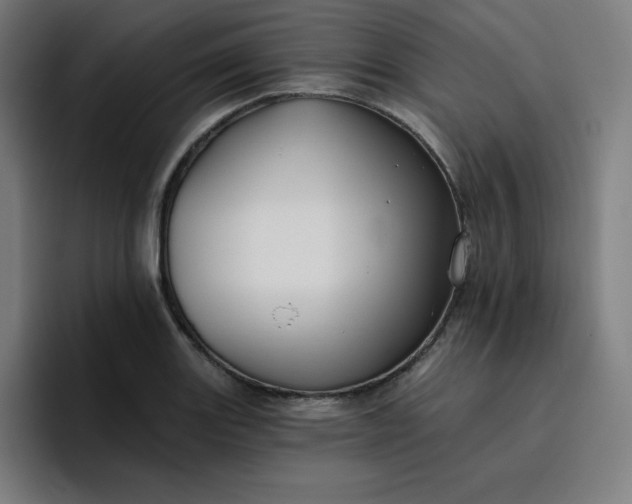 X0000096721131200802191523