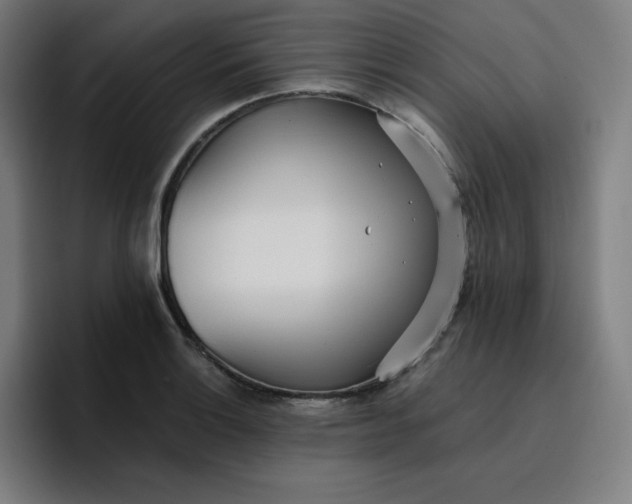 X0000096721132200802191523