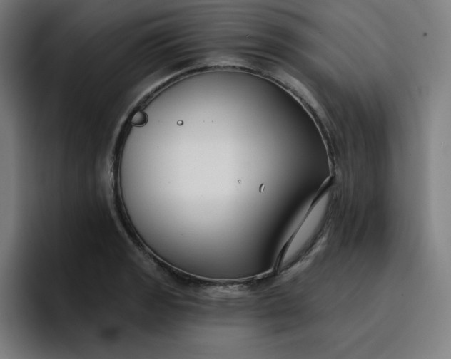 X0000096721133200802191523