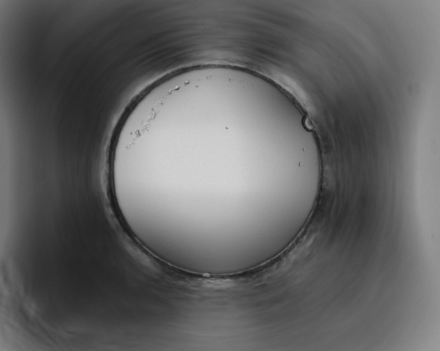 X0000096721136200802191523