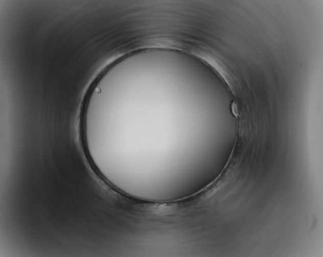 X0000096721139200802191523