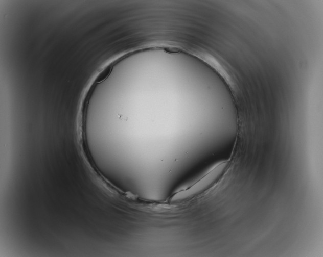 X0000096721140200802191523