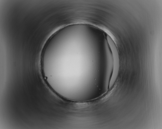 X0000096721142200802191523